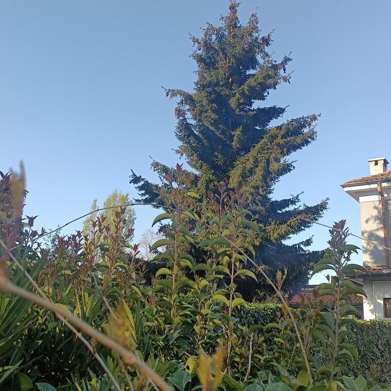 Viaggio nel verde di Pioltello