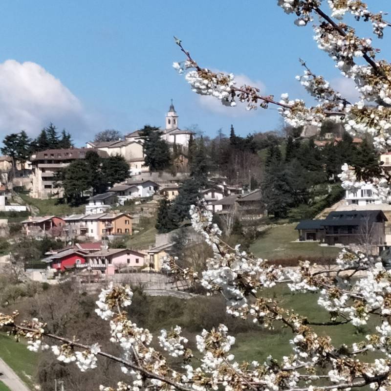 Fotosegnalazione di Cerro veronese
