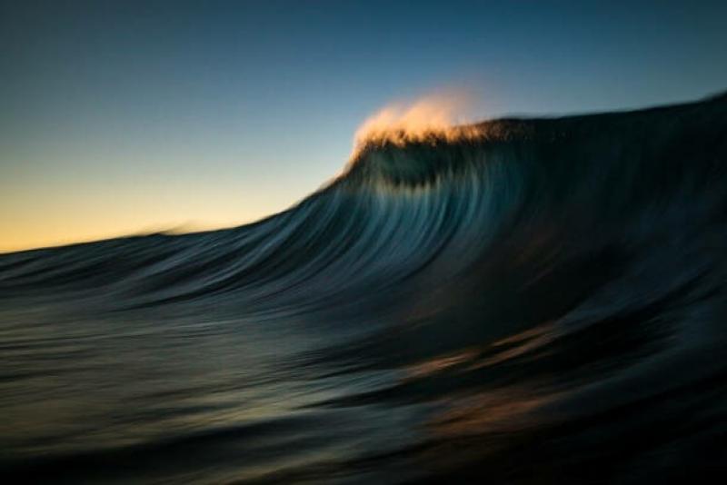 dark majestic wave cresting in golden morning light