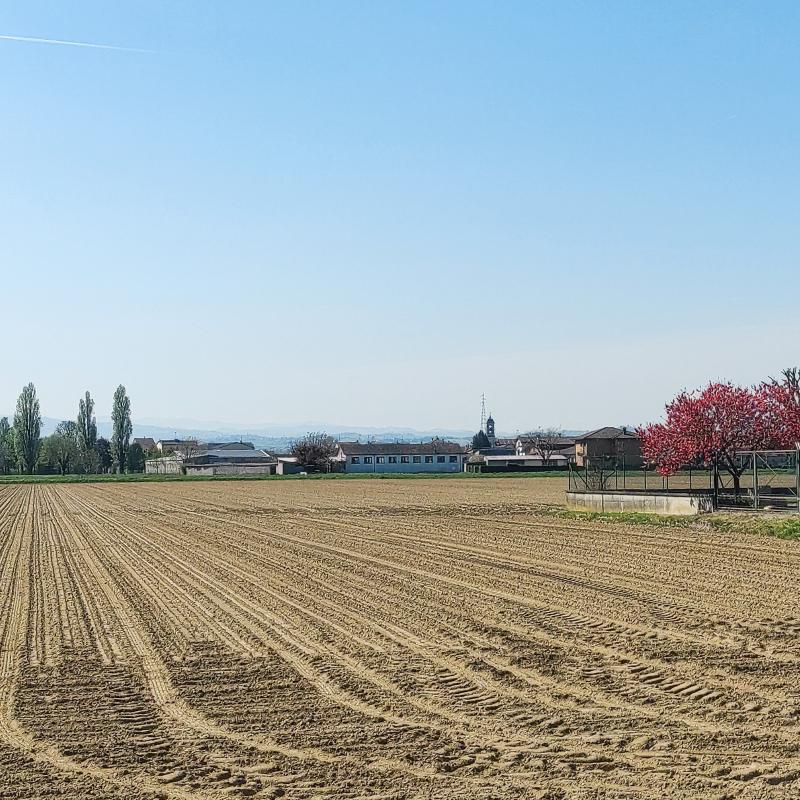 Fotosegnalazione di Zerbo