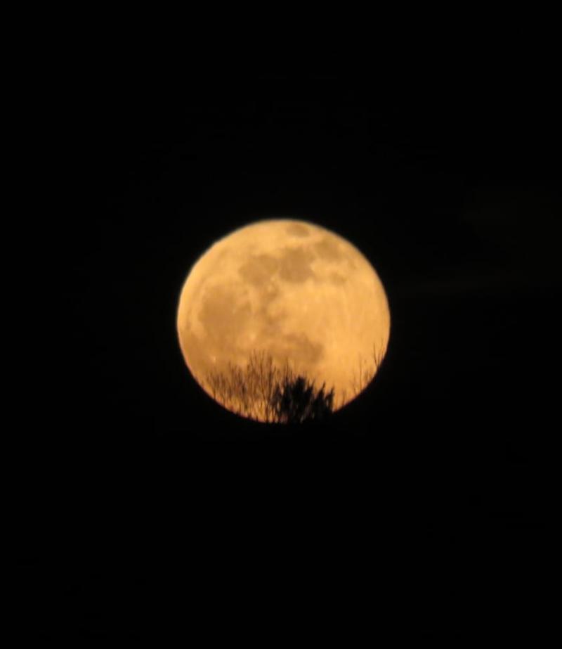 luna piena