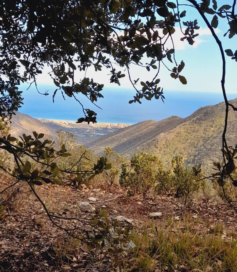 poggio grande Balestrino