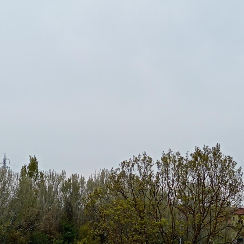 Fotosegnalazione di Bagnolo san vito