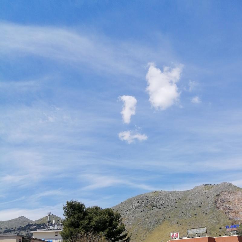 Fotosegnalazione di Palermo cruillas - cep