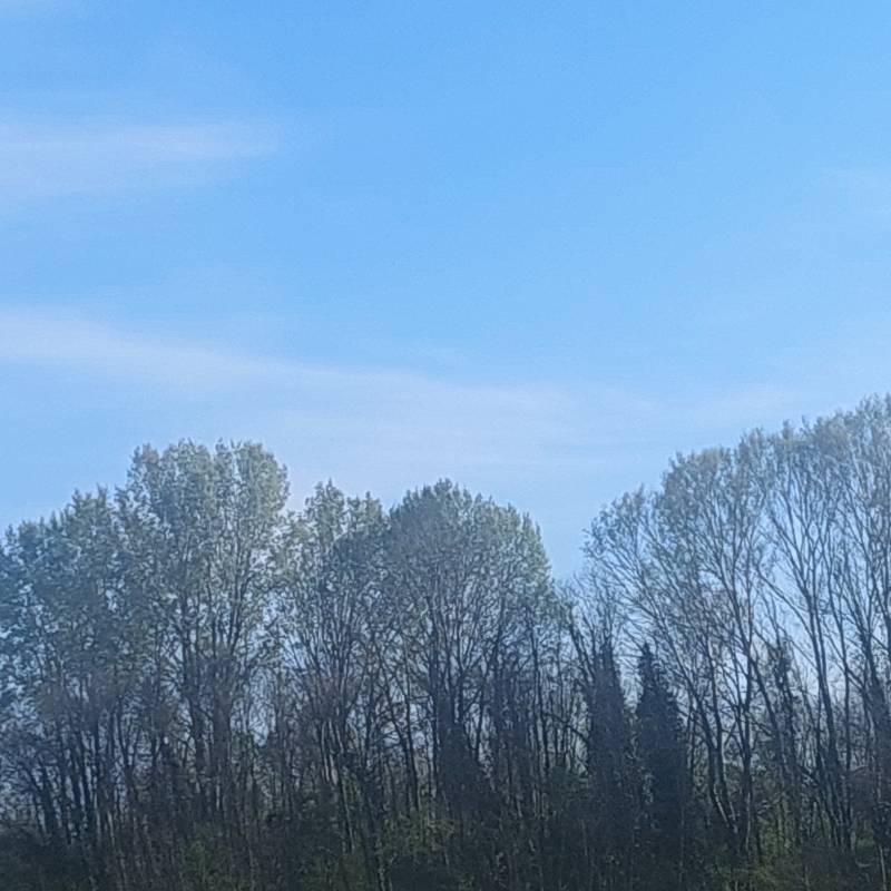 Fotosegnalazione di Vigodarzere