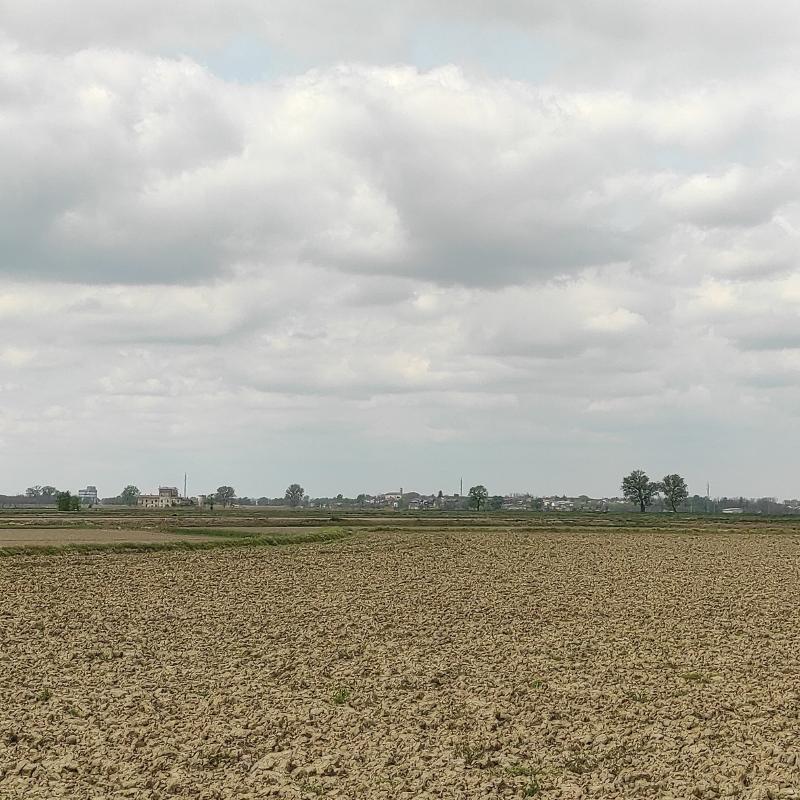 Fotosegnalazione di Costa de' nobili