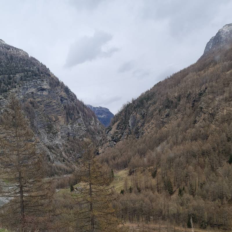 Fotosegnalazione di Passo del sempione