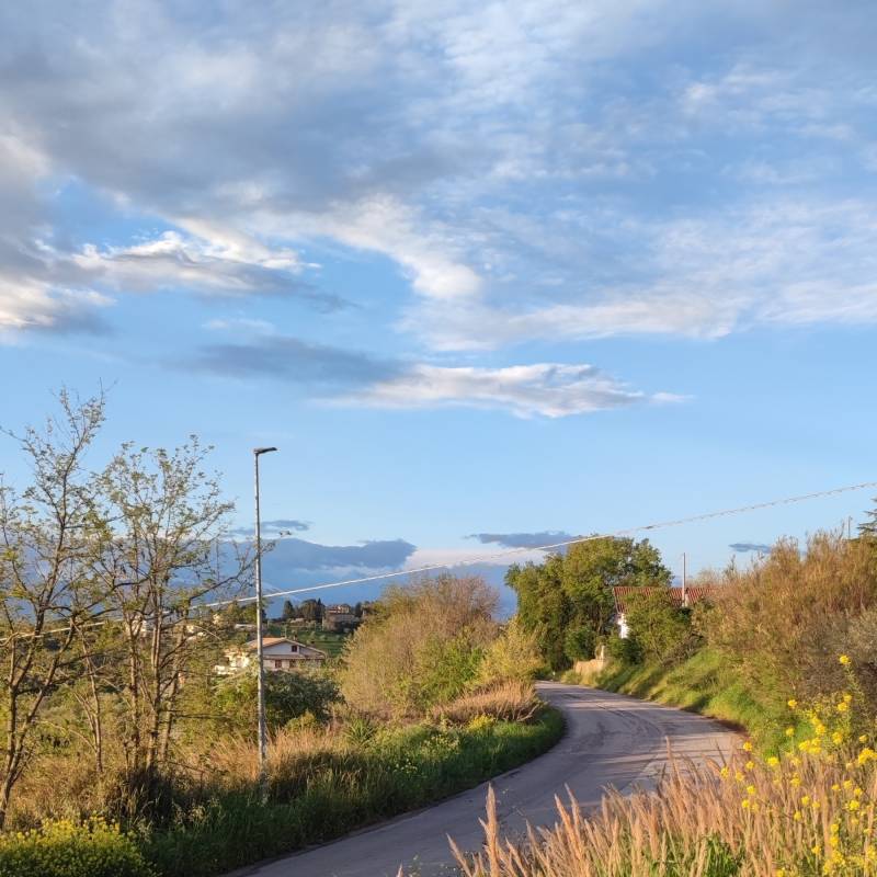Fotosegnalazione di Montesilvano