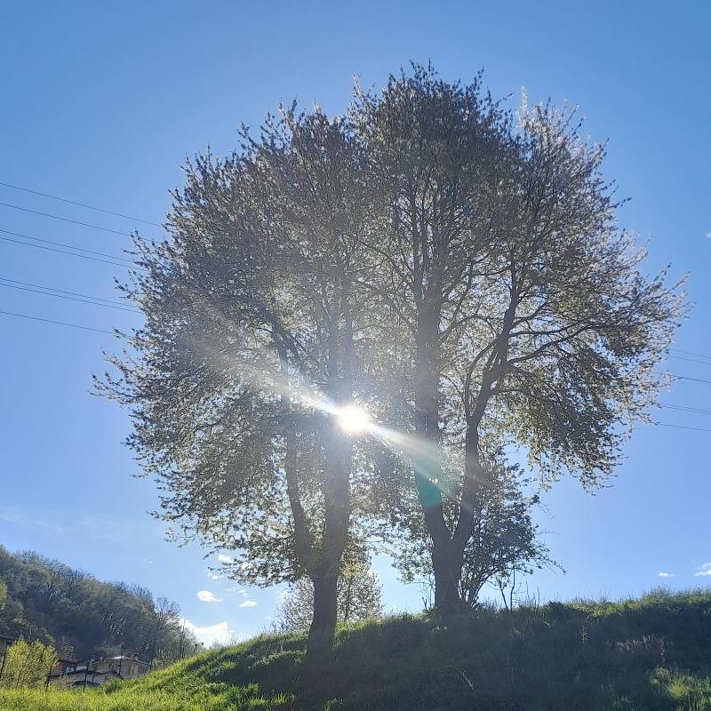 Fotosegnalazione di Casnigo