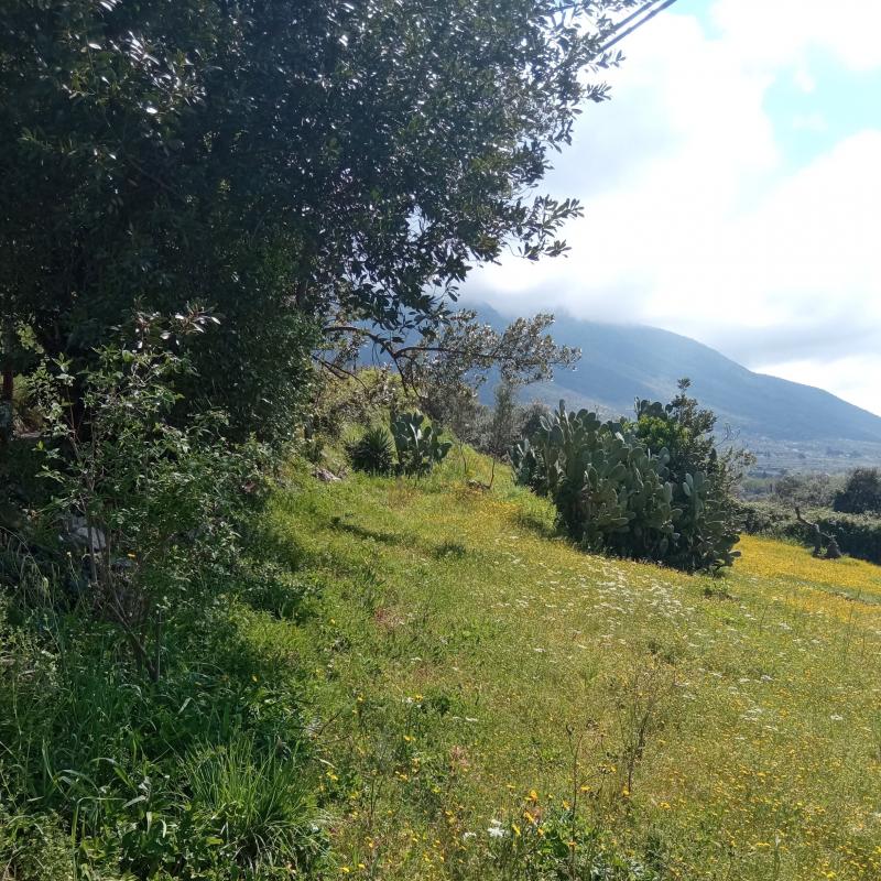 Fotosegnalazione di Palombara sabina