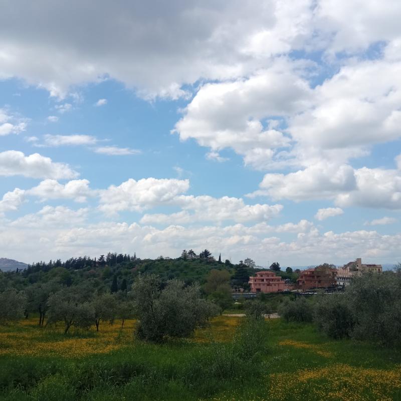 Fotosegnalazione di Palombara sabina