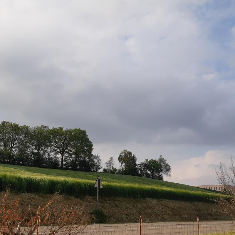Fotosegnalazione di Alseno