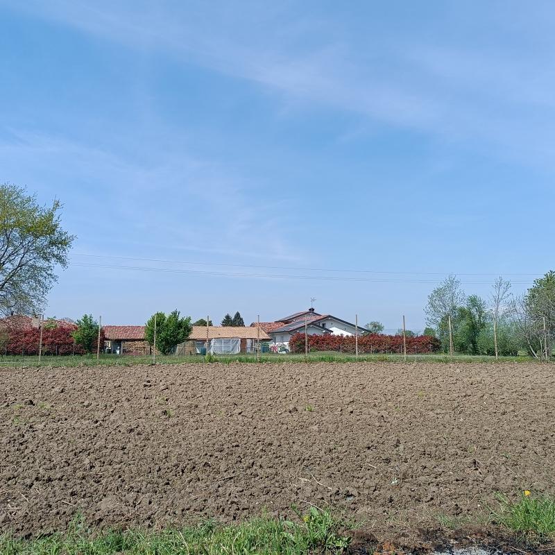 Fotosegnalazione di Sesto al reghena