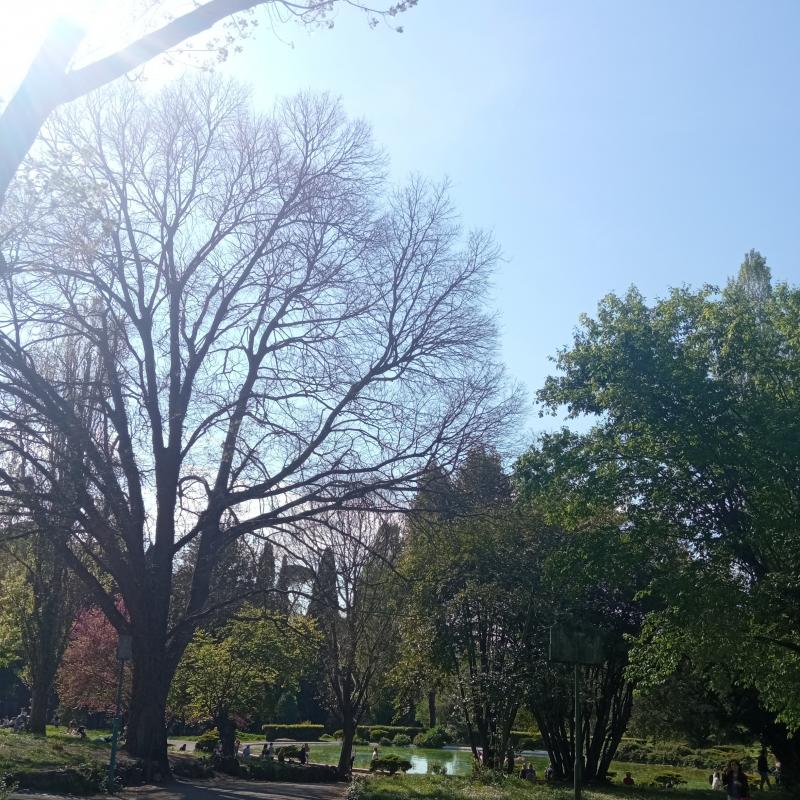 Fotosegnalazione di Roma pinciano