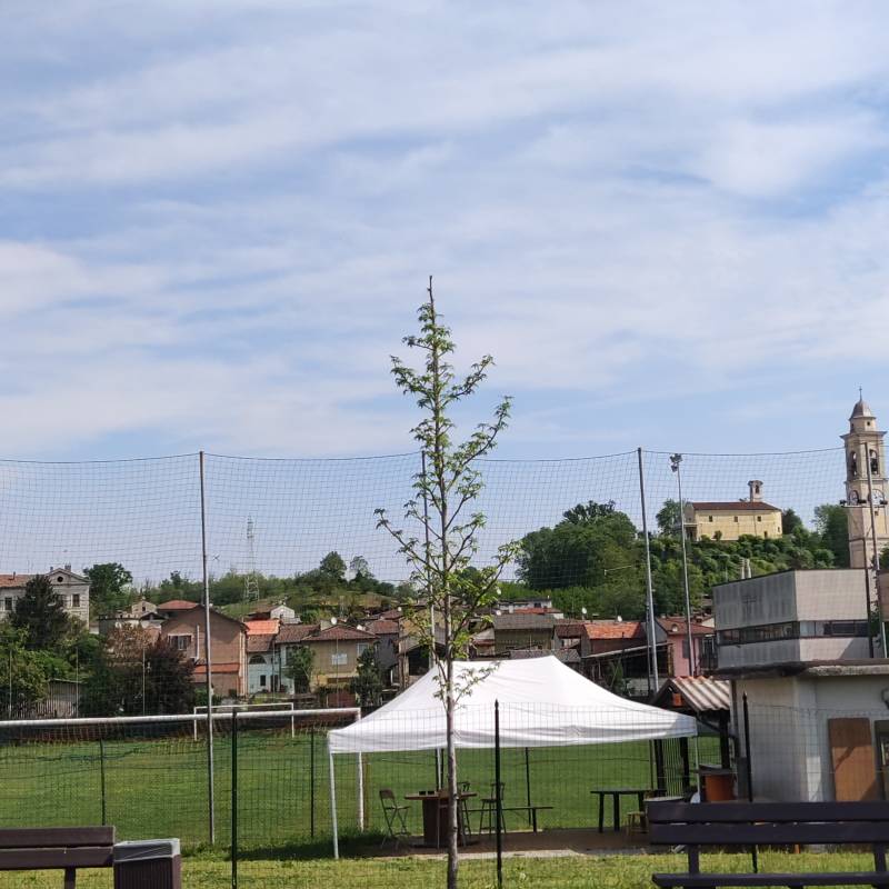 Fotosegnalazione di Miradolo terme