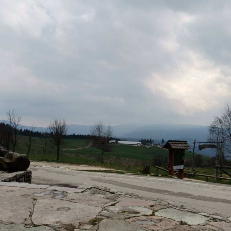 Fotosegnalazione di Col indes