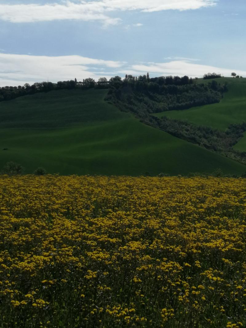 il tempo peggiora.