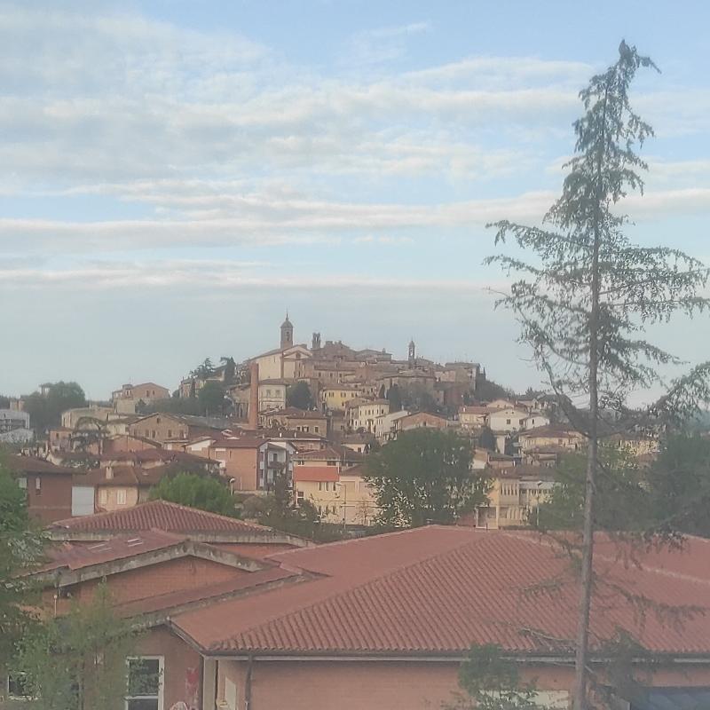 Fotosegnalazione di Torrita di siena