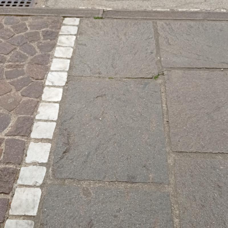 Fotosegnalazione di Malo