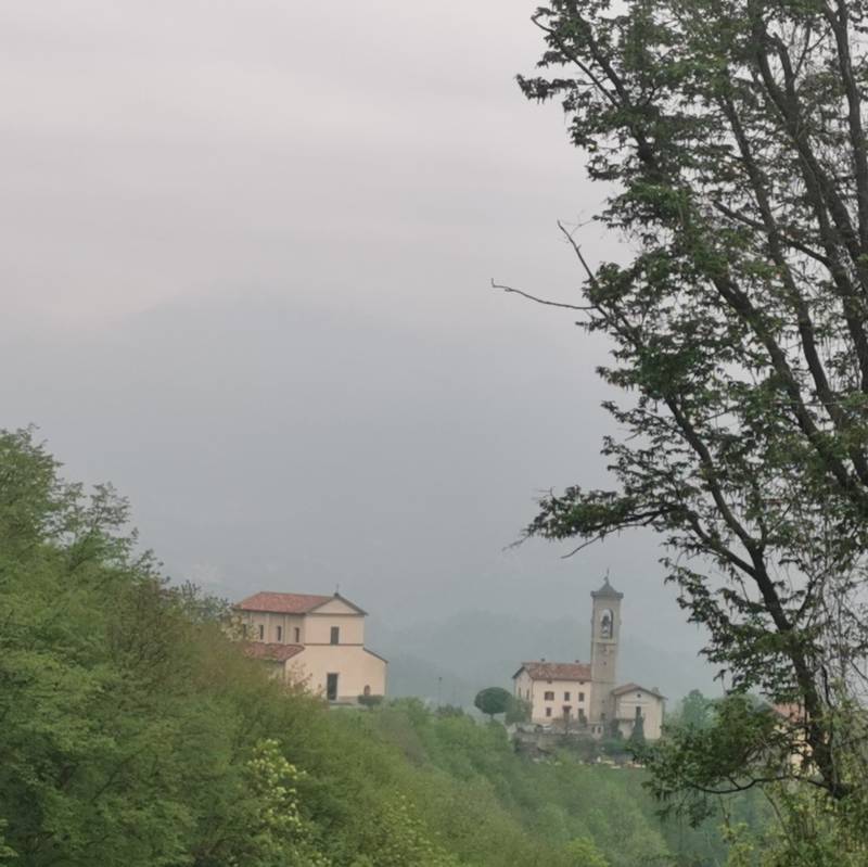 Fotosegnalazione di Bedulita