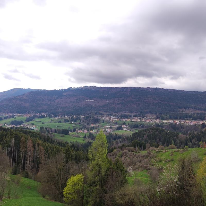 Fotosegnalazione di Roana