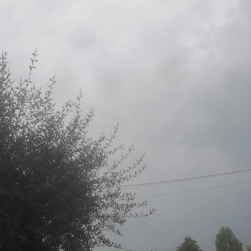 Fotosegnalazione di Albizzate
