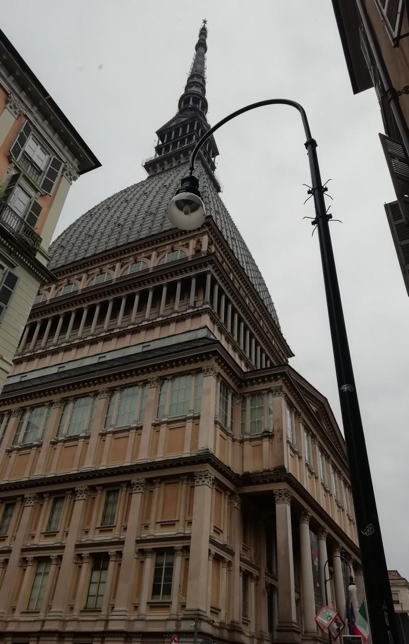 mole sotto la pioggia