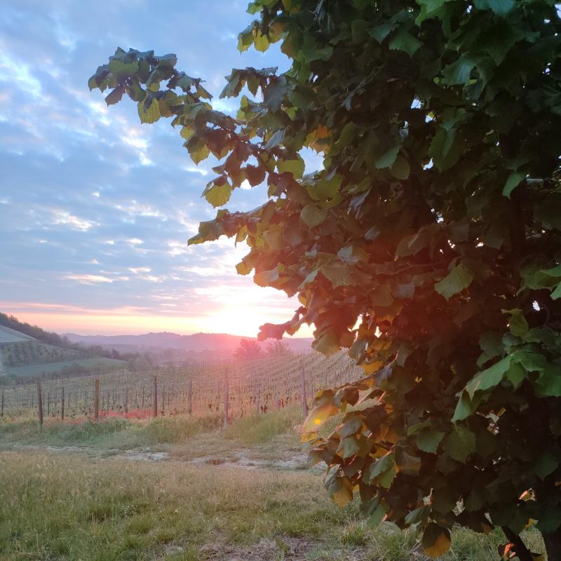 Fotosegnalazione di Isola d'asti