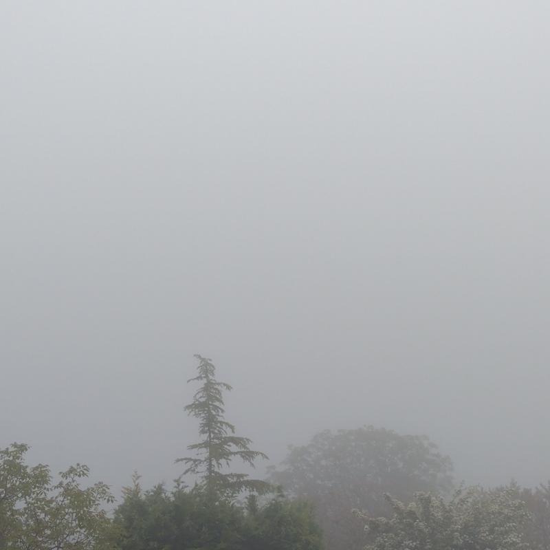 Fotosegnalazione di Benevento nord