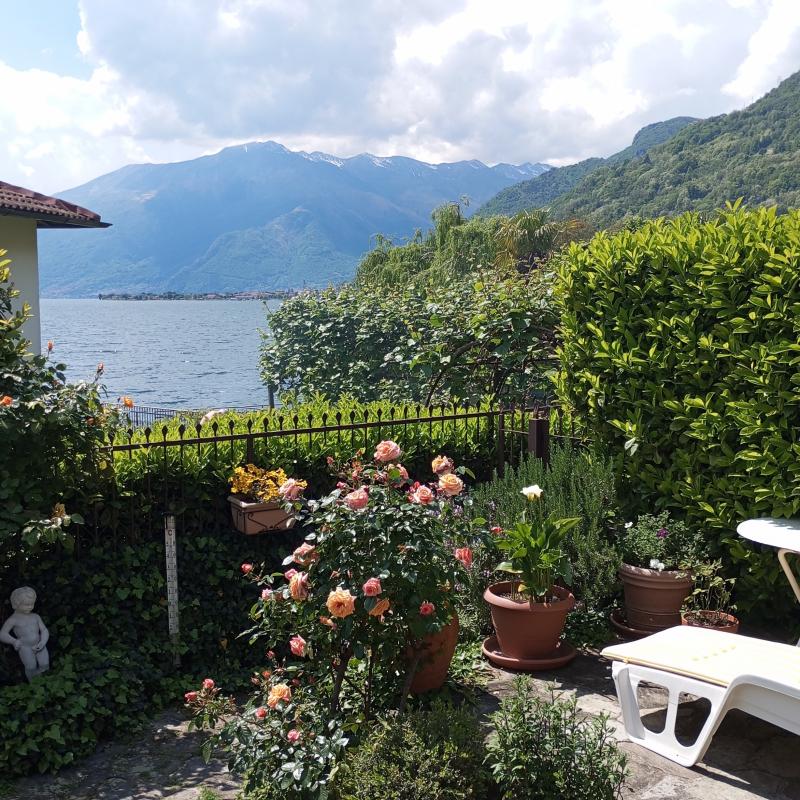Fotosegnalazione di Gera lario