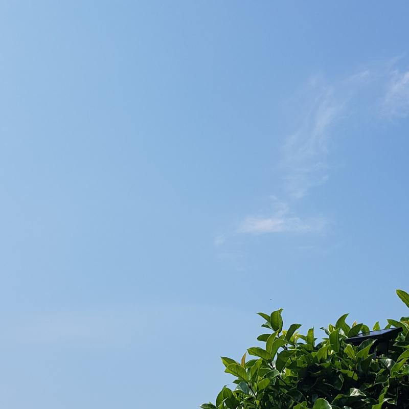 Fotosegnalazione di Tezze sul brenta