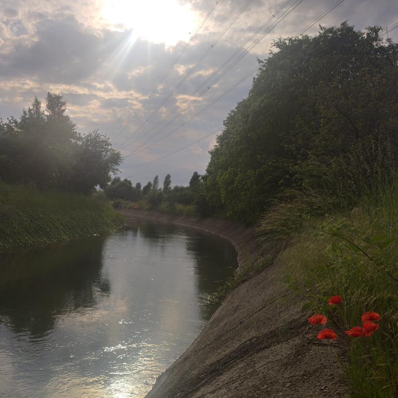 Fotosegnalazione di Paderno dugnano