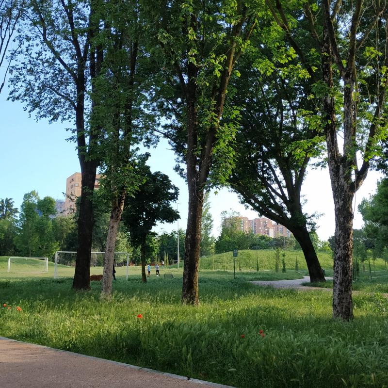 Fotosegnalazione di Sesto san giovanni