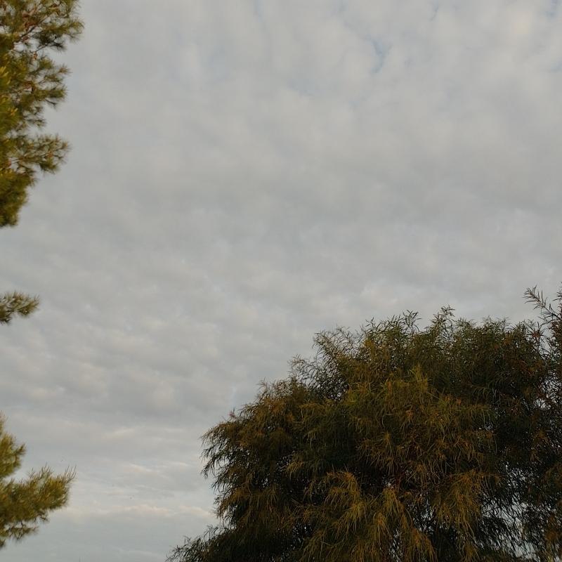 Fotosegnalazione di Gela