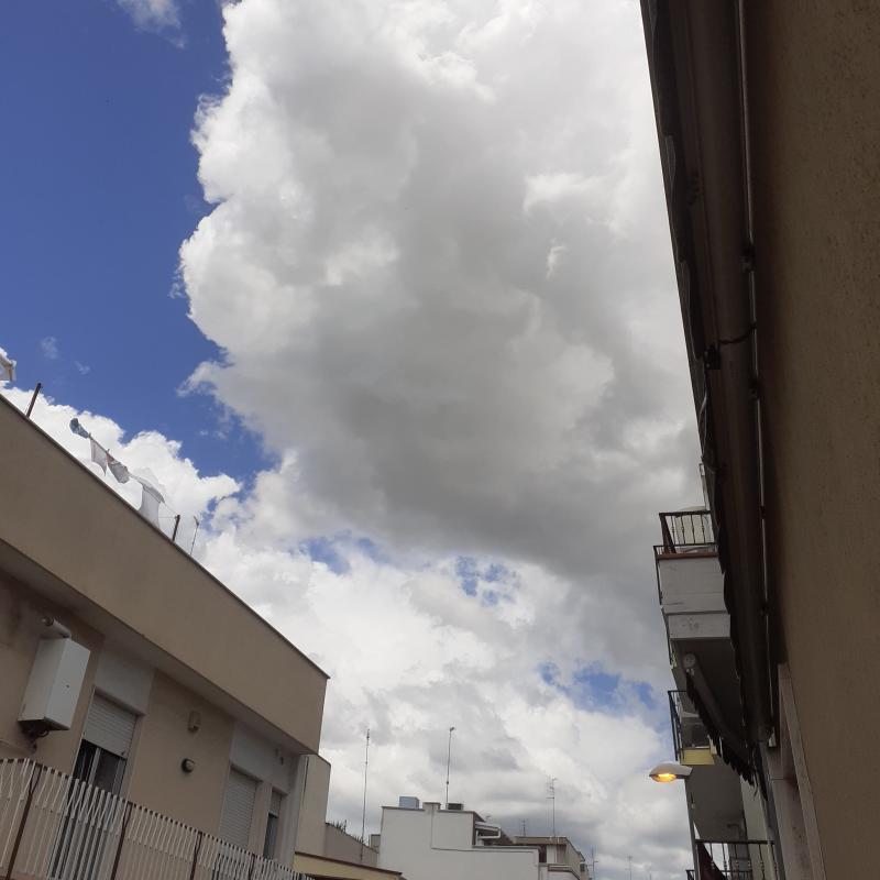 Fotosegnalazione di Andria centro urbano