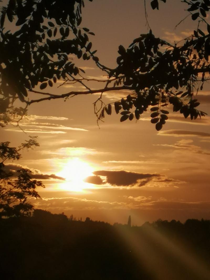 bella serata.