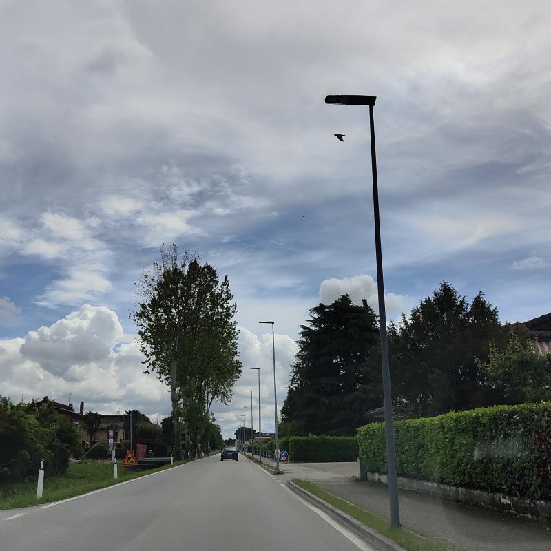 Fotosegnalazione di Pianiga