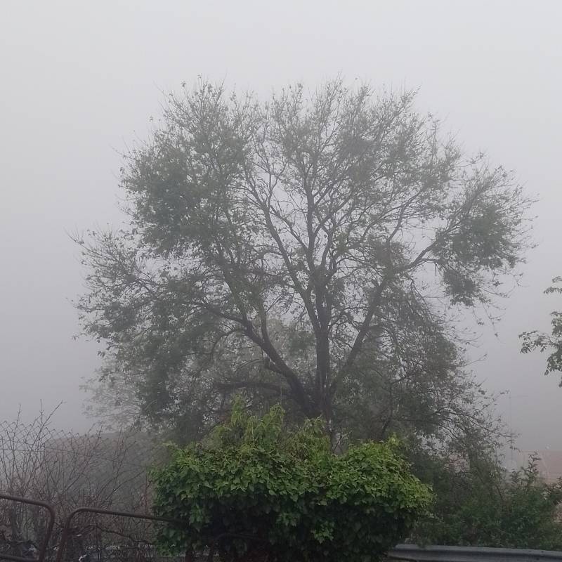 Fotosegnalazione di Castellino del biferno
