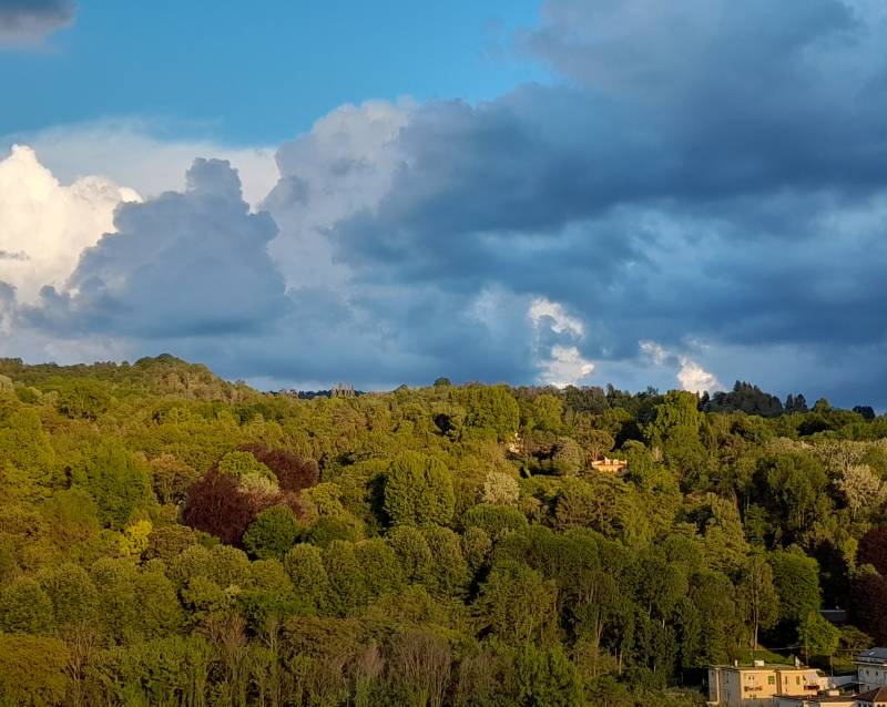 la collina al tramonto