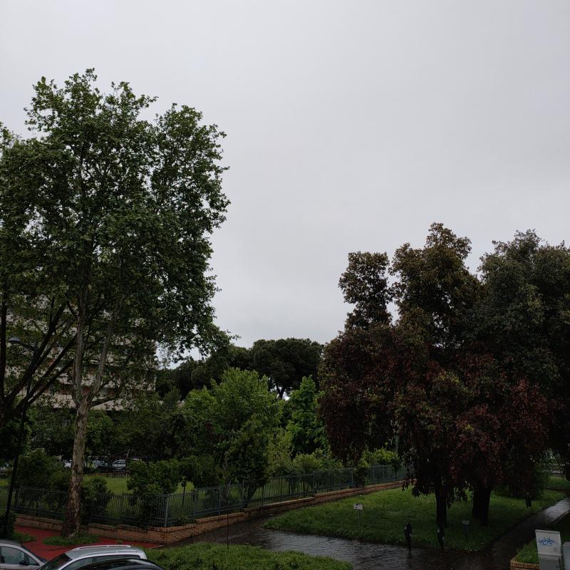 Fotosegnalazione di Pescara castellamare