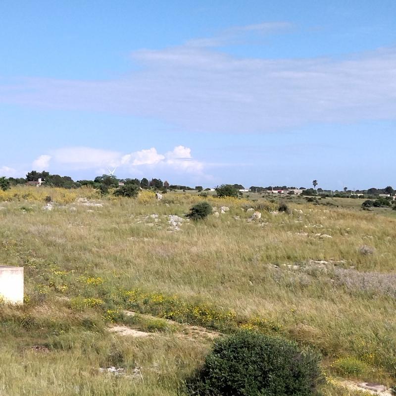 Fotosegnalazione di San marzano di san giuseppe