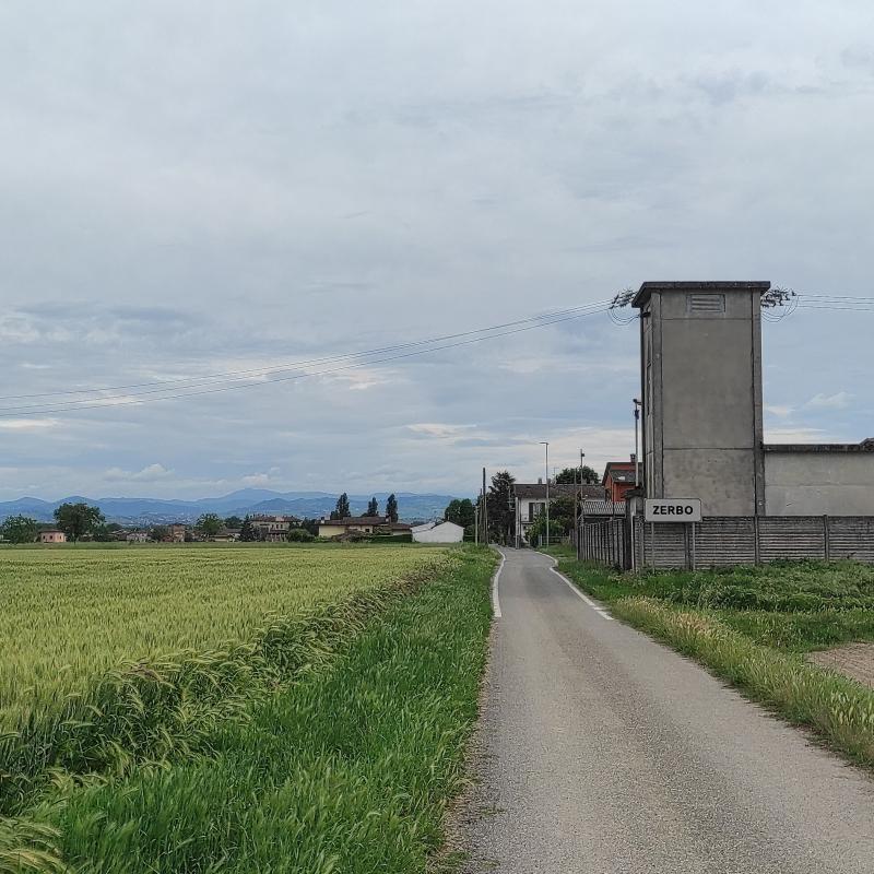 Fotosegnalazione di Zerbo