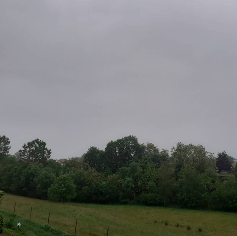Fotosegnalazione di Bibiana
