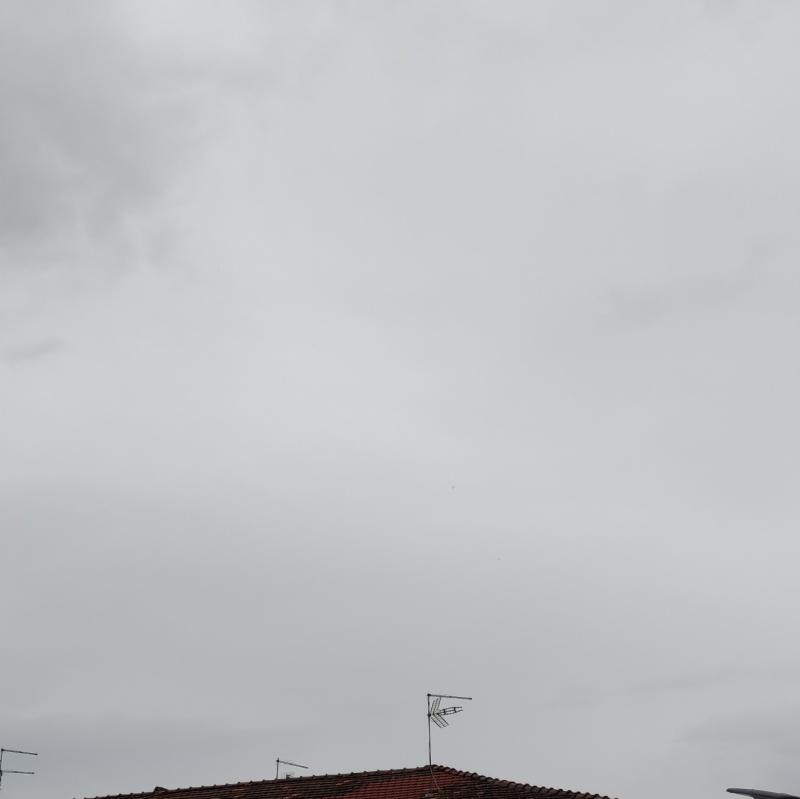 Fotosegnalazione di Pontecorvo