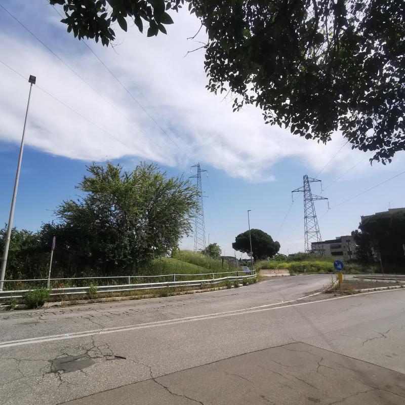 Fotosegnalazione di Roma ottavia