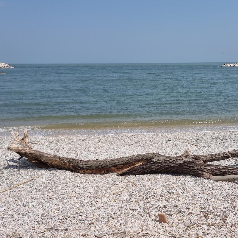Fotosegnalazione di Fano
