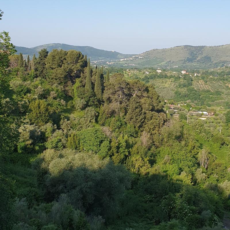 Fotosegnalazione di Castel madama
