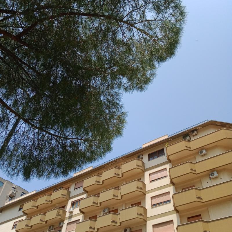 Fotosegnalazione di Palermo resuttana - san lorenzo