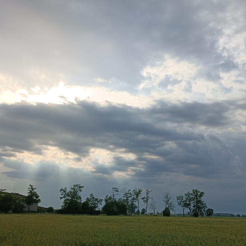 Fotosegnalazione di Gambarana