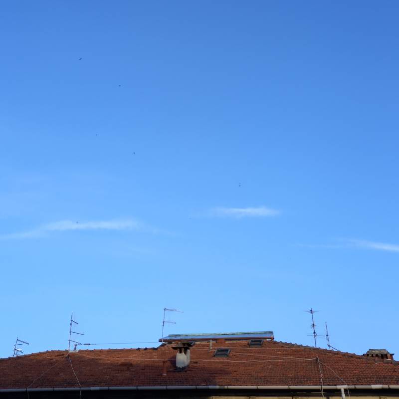 Fotosegnalazione di La spezia centro